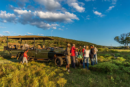 Exclusive wildlife viewing at Sekala Lodge