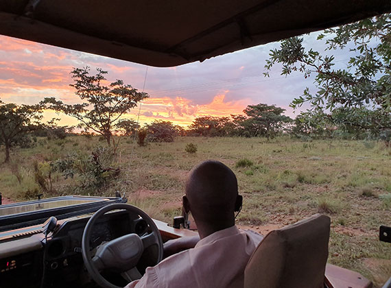 Game drive at Sekala Private Game Lodge