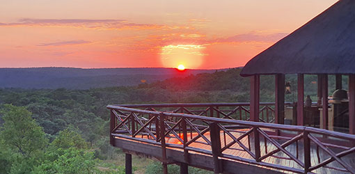 Special offers at Sekala Private Game Lodge