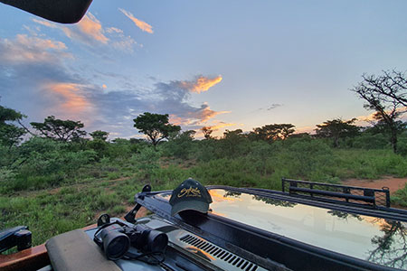 Private safari experience at sunset in Welgevonden