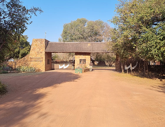 Road leading to Welgevonden main gate entrance