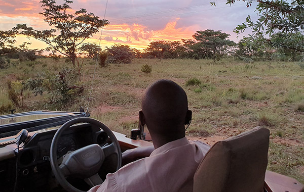 Safari booking at Sekala