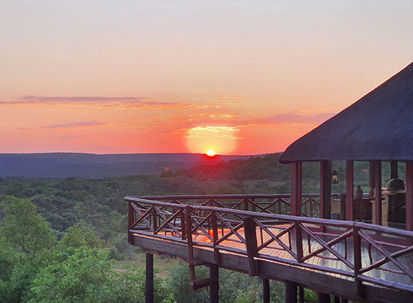 Unique Sekala safari experience