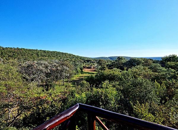 Waterhole at Sekala Lodge