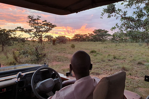 Why Sekala Offers the Ultimate Safari Experience