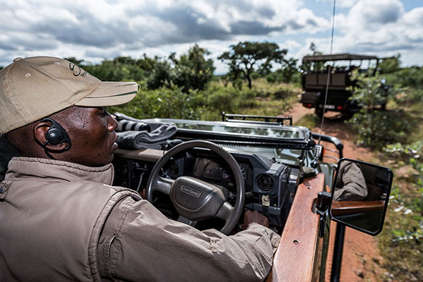 Big 5 Safari Game Drive in Welgevonden Game Reserve